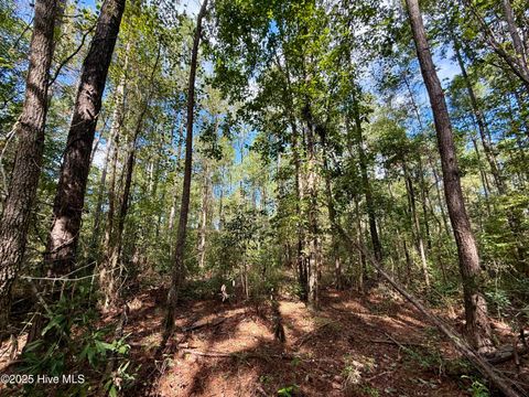 Tiny photo for 0 Atkinson Cemetery Road, Atkinson, NC 28421 (MLS # 100536662)