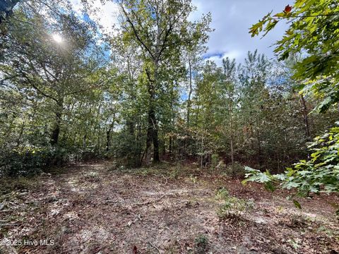 Tiny photo for 0 Atkinson Cemetery Road, Atkinson, NC 28421 (MLS # 100536662)