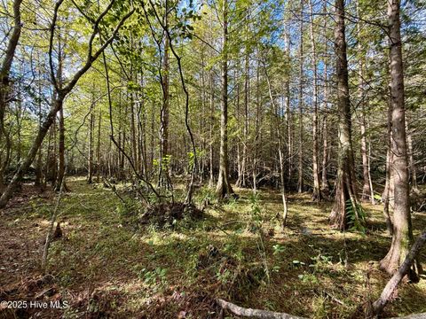 Tiny photo for 0 Atkinson Cemetery Road, Atkinson, NC 28421 (MLS # 100536662)