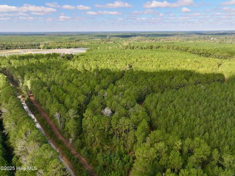 Tiny photo for 0 Atkinson Cemetery Road, Atkinson, NC 28421 (MLS # 100536662)