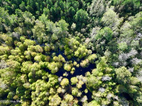 Tiny photo for 0 Atkinson Cemetery Road, Atkinson, NC 28421 (MLS # 100536662)