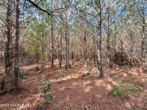 Tiny photo for 0 Atkinson Cemetery Road, Atkinson, NC 28421 (MLS # 100536662)