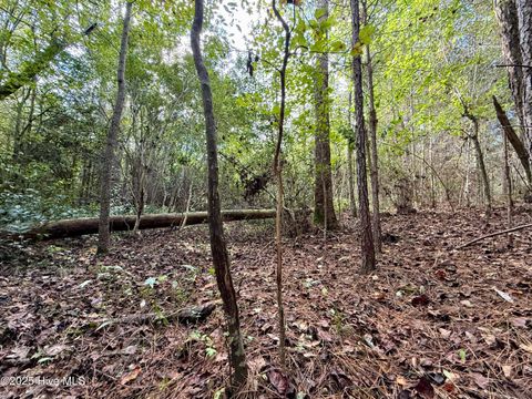 Tiny photo for 0 Atkinson Cemetery Road, Atkinson, NC 28421 (MLS # 100536662)