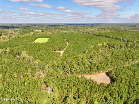 Tiny photo for 0 Atkinson Cemetery Road, Atkinson, NC 28421 (MLS # 100536662)