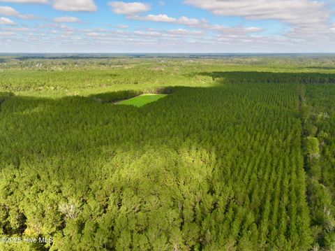 Tiny photo for 0 Atkinson Cemetery Road, Atkinson, NC 28421 (MLS # 100536662)