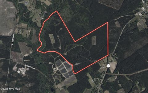 Tiny photo for 0 Atkinson Cemetery Road, Atkinson, NC 28421 (MLS # 100536662)