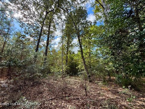 Tiny photo for 0 Atkinson Cemetery Road, Atkinson, NC 28421 (MLS # 100536662)