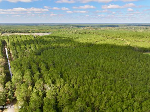 Tiny photo for 0 Atkinson Cemetery Road, Atkinson, NC 28421 (MLS # 100536662)