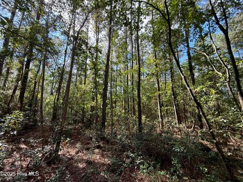 Tiny photo for 0 Atkinson Cemetery Road, Atkinson, NC 28421 (MLS # 100536662)