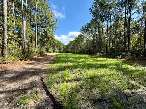 Tiny photo for 0 Atkinson Cemetery Road, Atkinson, NC 28421 (MLS # 100536662)