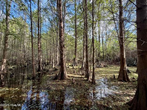 Tiny photo for 0 Atkinson Cemetery Road, Atkinson, NC 28421 (MLS # 100536662)