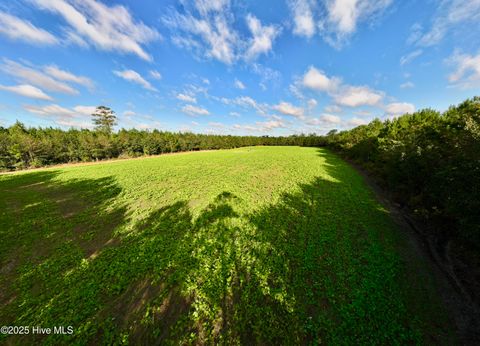 Tiny photo for 0 Atkinson Cemetery Road, Atkinson, NC 28421 (MLS # 100536662)