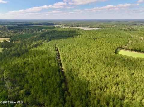 Tiny photo for 0 Atkinson Cemetery Road, Atkinson, NC 28421 (MLS # 100536662)