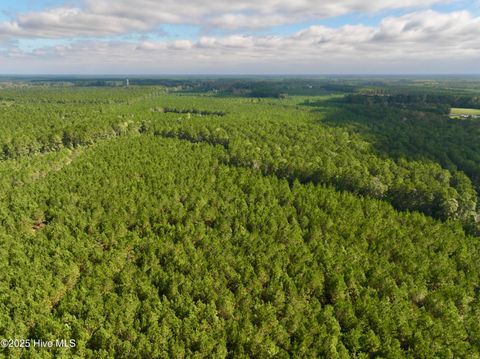 Tiny photo for 0 Atkinson Cemetery Road, Atkinson, NC 28421 (MLS # 100536662)