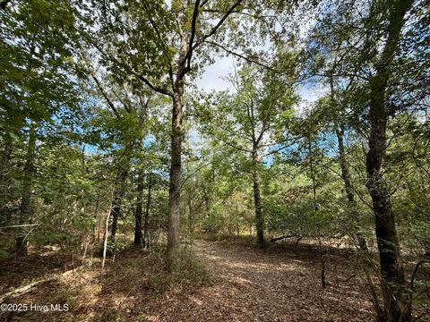 Tiny photo for 0 Atkinson Cemetery Road, Atkinson, NC 28421 (MLS # 100536662)