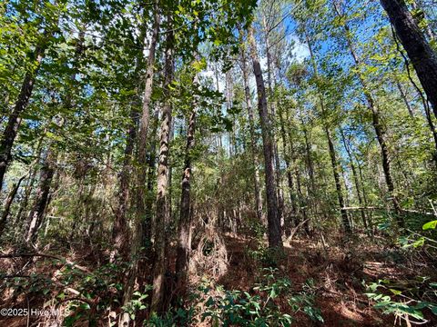 Tiny photo for 0 Atkinson Cemetery Road, Atkinson, NC 28421 (MLS # 100536662)