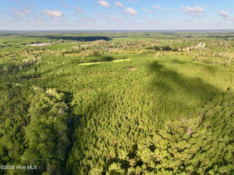 Tiny photo for 0 Atkinson Cemetery Road, Atkinson, NC 28421 (MLS # 100536662)