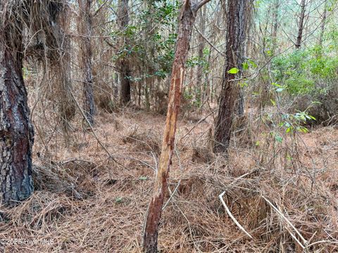 Tiny photo for 0 Atkinson Cemetery Road, Atkinson, NC 28421 (MLS # 100536662)