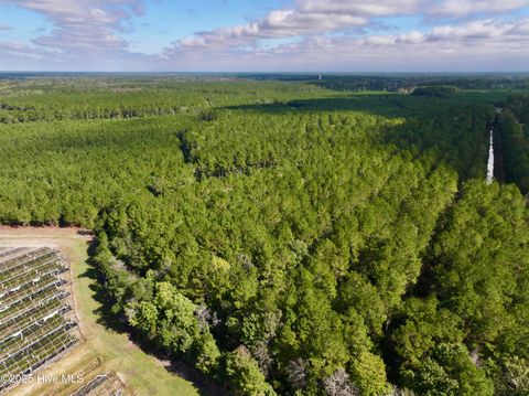 Tiny photo for 0 Atkinson Cemetery Road, Atkinson, NC 28421 (MLS # 100536662)