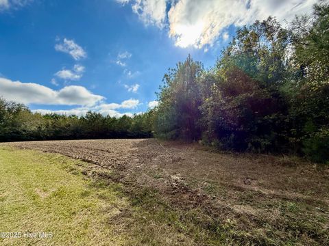 Tiny photo for 0 Atkinson Cemetery Road, Atkinson, NC 28421 (MLS # 100536662)