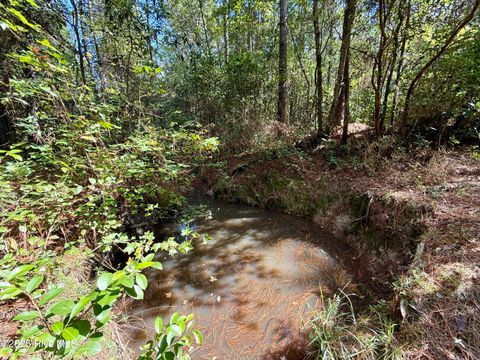 Tiny photo for 0 Atkinson Cemetery Road, Atkinson, NC 28421 (MLS # 100536662)