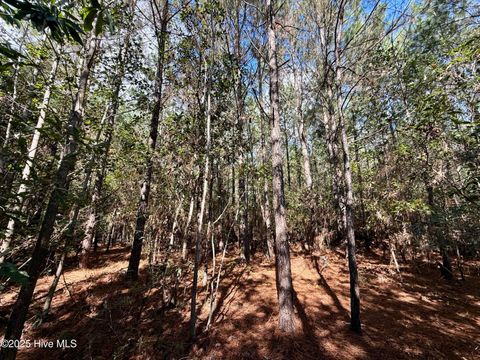 Tiny photo for 0 Atkinson Cemetery Road, Atkinson, NC 28421 (MLS # 100536662)