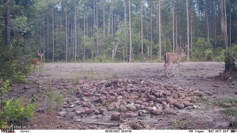 Tiny photo for 0 Atkinson Cemetery Road, Atkinson, NC 28421 (MLS # 100536662)