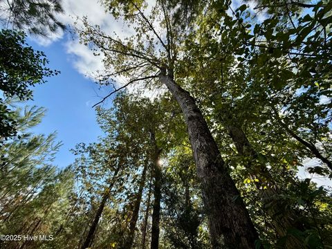 Tiny photo for 0 Atkinson Cemetery Road, Atkinson, NC 28421 (MLS # 100536662)