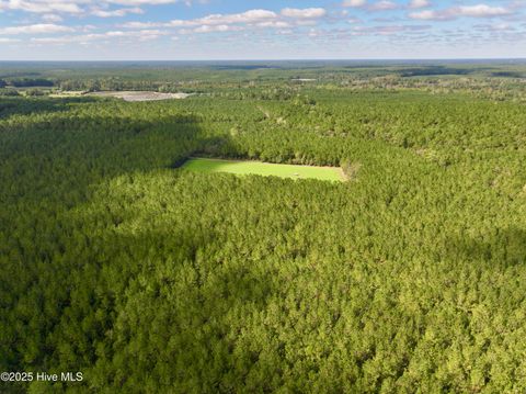 Tiny photo for 0 Atkinson Cemetery Road, Atkinson, NC 28421 (MLS # 100536662)