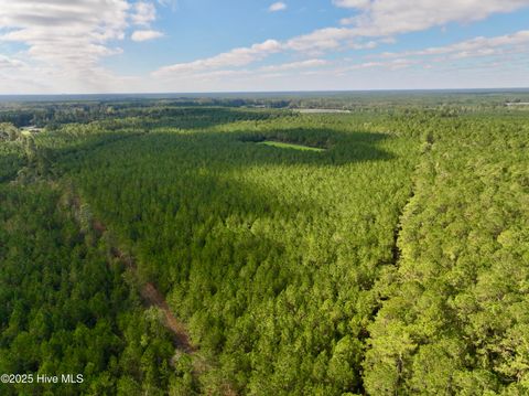 Tiny photo for 0 Atkinson Cemetery Road, Atkinson, NC 28421 (MLS # 100536662)