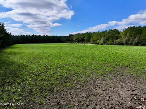Tiny photo for 0 Atkinson Cemetery Road, Atkinson, NC 28421 (MLS # 100536662)
