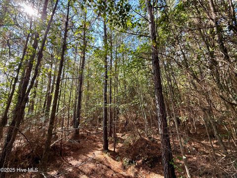 Tiny photo for 0 Atkinson Cemetery Road, Atkinson, NC 28421 (MLS # 100536662)