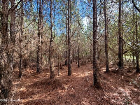 Tiny photo for 0 Atkinson Cemetery Road, Atkinson, NC 28421 (MLS # 100536662)