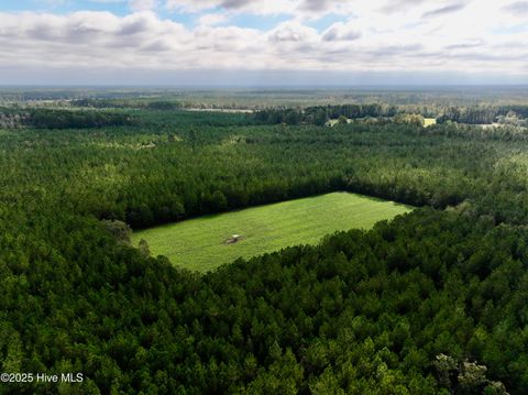 Tiny photo for 0 Atkinson Cemetery Road, Atkinson, NC 28421 (MLS # 100536662)