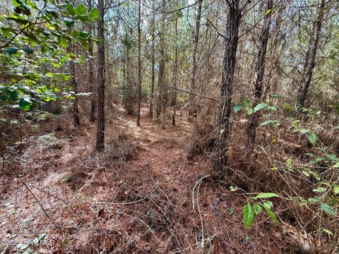 Tiny photo for 0 Atkinson Cemetery Road, Atkinson, NC 28421 (MLS # 100536662)