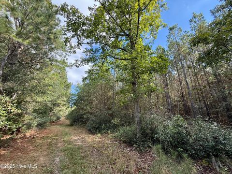 Tiny photo for 0 Atkinson Cemetery Road, Atkinson, NC 28421 (MLS # 100536662)
