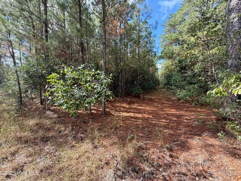 Tiny photo for 0 Atkinson Cemetery Road, Atkinson, NC 28421 (MLS # 100536662)