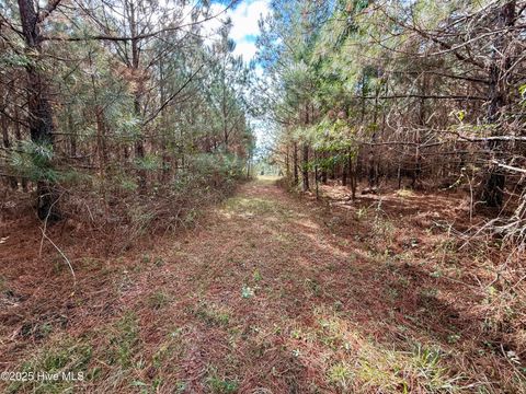 Tiny photo for 0 Atkinson Cemetery Road, Atkinson, NC 28421 (MLS # 100536662)