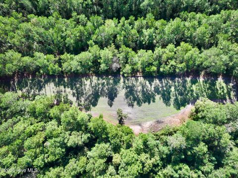 Tiny photo for 0 Atkinson Cemetery Road, Atkinson, NC 28421 (MLS # 100536662)