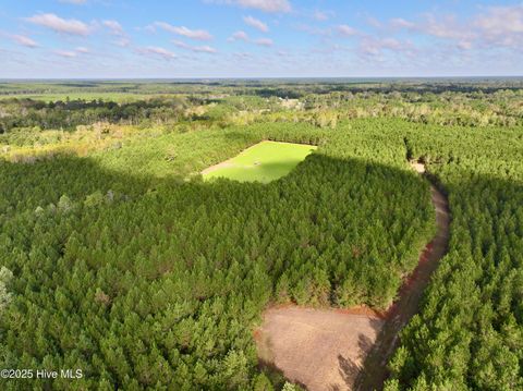 Tiny photo for 0 Atkinson Cemetery Road, Atkinson, NC 28421 (MLS # 100536662)