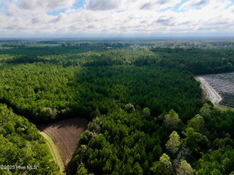 Tiny photo for 0 Atkinson Cemetery Road, Atkinson, NC 28421 (MLS # 100536662)