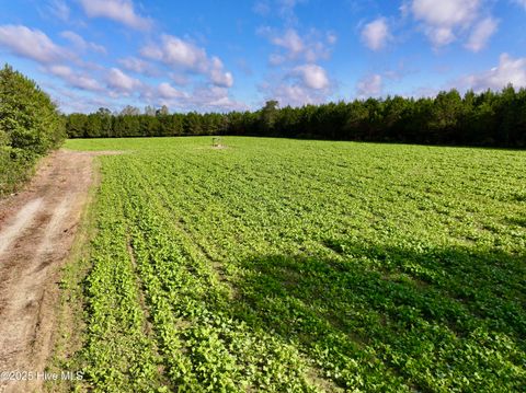 Tiny photo for 0 Atkinson Cemetery Road, Atkinson, NC 28421 (MLS # 100536662)