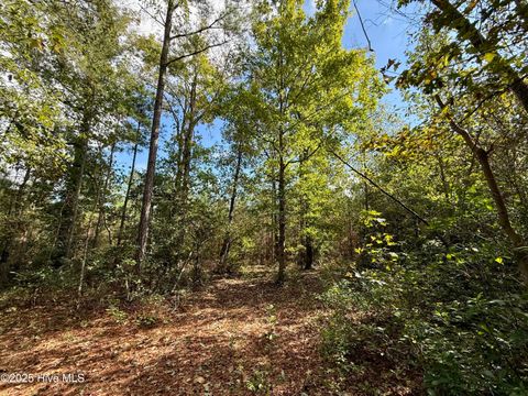 Tiny photo for 0 Atkinson Cemetery Road, Atkinson, NC 28421 (MLS # 100536662)
