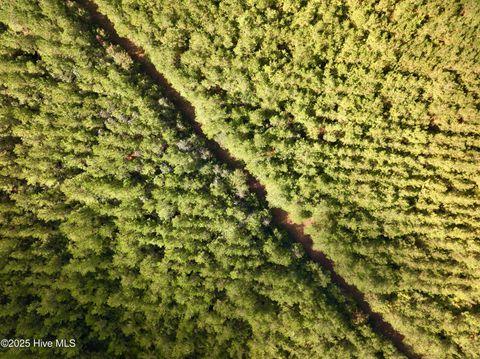 Tiny photo for 0 Atkinson Cemetery Road, Atkinson, NC 28421 (MLS # 100536662)