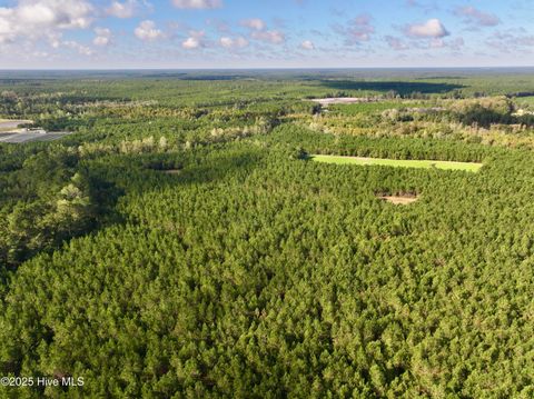 Tiny photo for 0 Atkinson Cemetery Road, Atkinson, NC 28421 (MLS # 100536662)