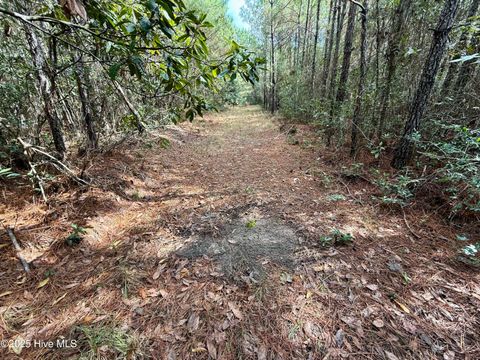 Tiny photo for 0 Atkinson Cemetery Road, Atkinson, NC 28421 (MLS # 100536662)