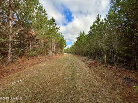 Tiny photo for 0 Atkinson Cemetery Road, Atkinson, NC 28421 (MLS # 100536662)