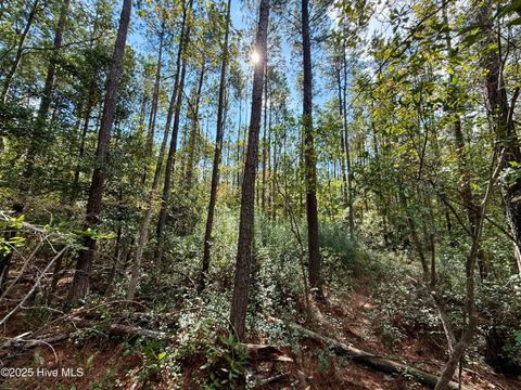 Tiny photo for 0 Atkinson Cemetery Road, Atkinson, NC 28421 (MLS # 100536662)