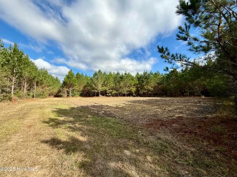 Tiny photo for 0 Atkinson Cemetery Road, Atkinson, NC 28421 (MLS # 100536662)