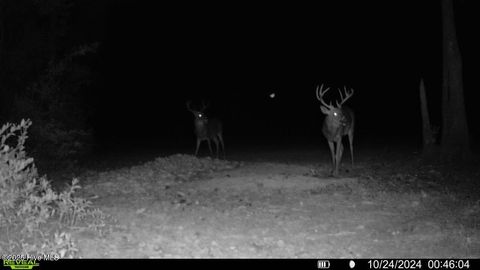 Tiny photo for 0 Atkinson Cemetery Road, Atkinson, NC 28421 (MLS # 100536662)